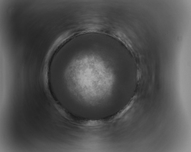 X0000096720101200802191536