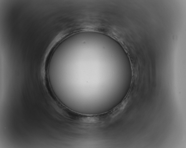 X0000096720102200802191536