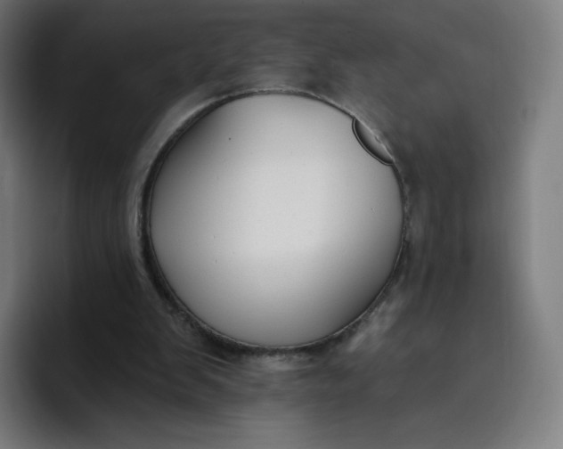 X0000096720103200802191536