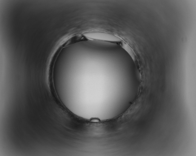 X0000096720104200802191536