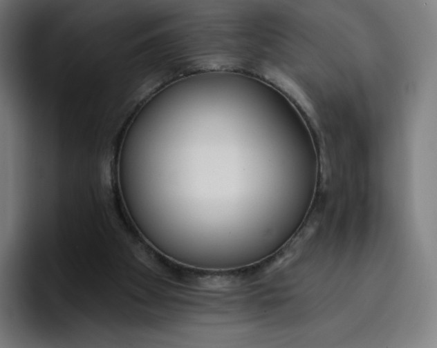 X0000096720105200802191536