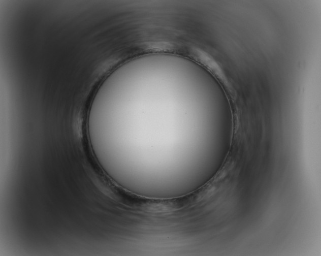 X0000096720106200802191536