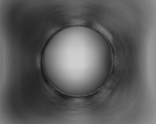 X0000096720107200802191536