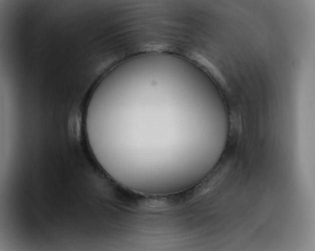 X0000096720110200802191536