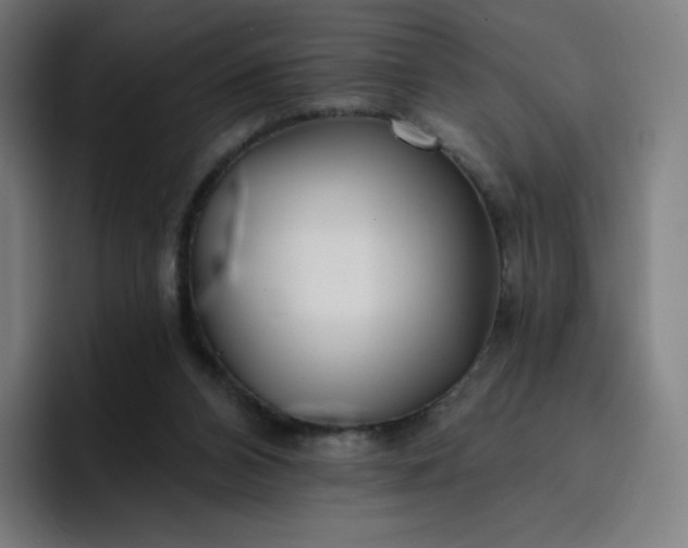 X0000096720112200802191536