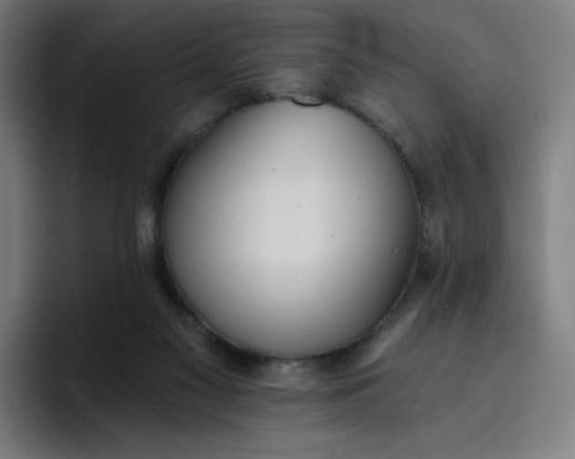 X0000096720117200802191536