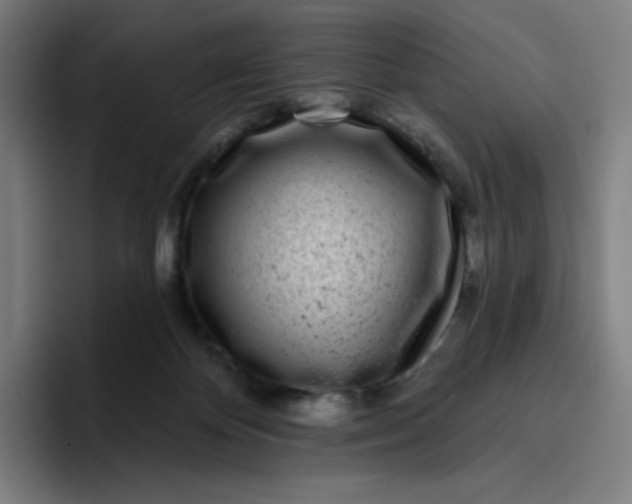 X0000096720124200802191536