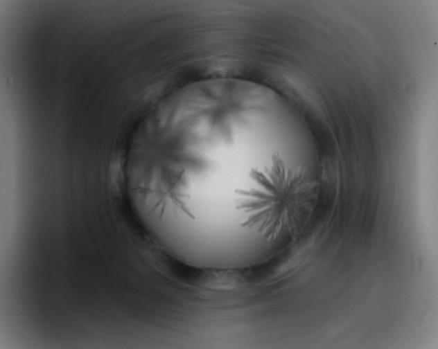 X0000096720127200802191536