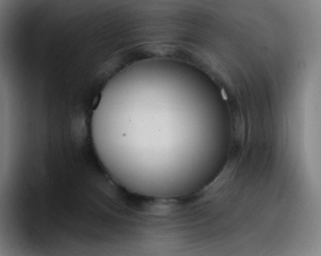 X0000096720128200802191536