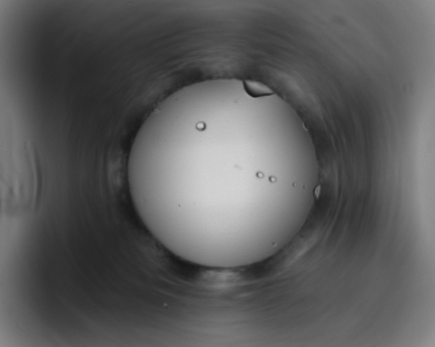 X0000096720133200802191536