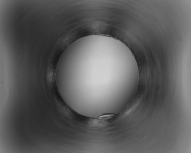 X0000096720137200802191536