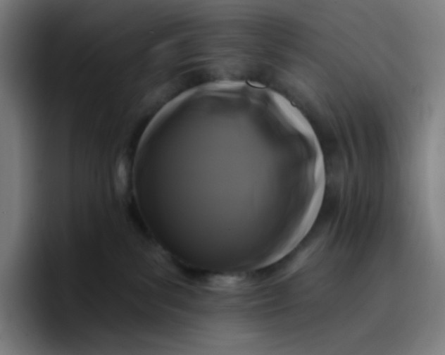 X0000096720139200802191536