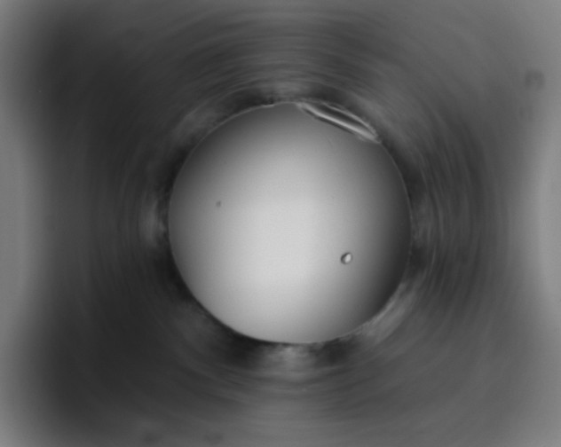 X0000096720140200802191536