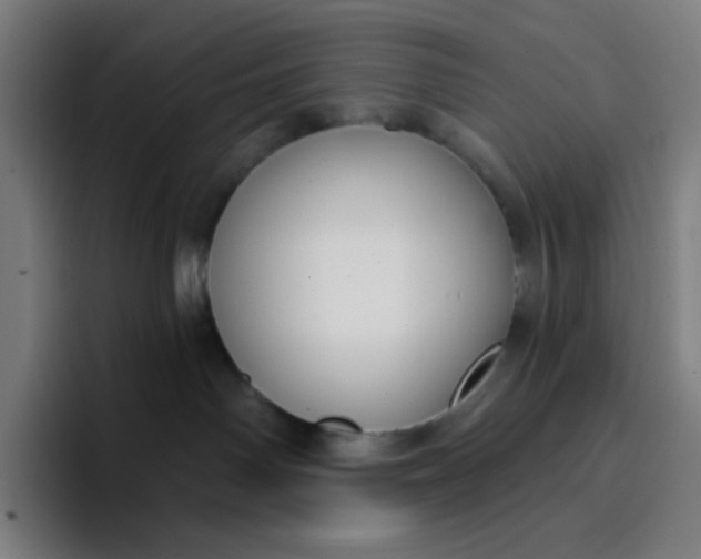 X0000096720142200802191536