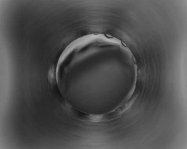 X0000096720143200802191536