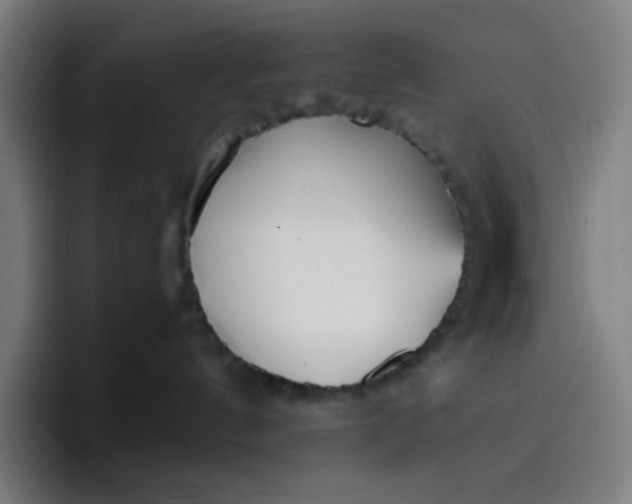 X0000096720144200802191536