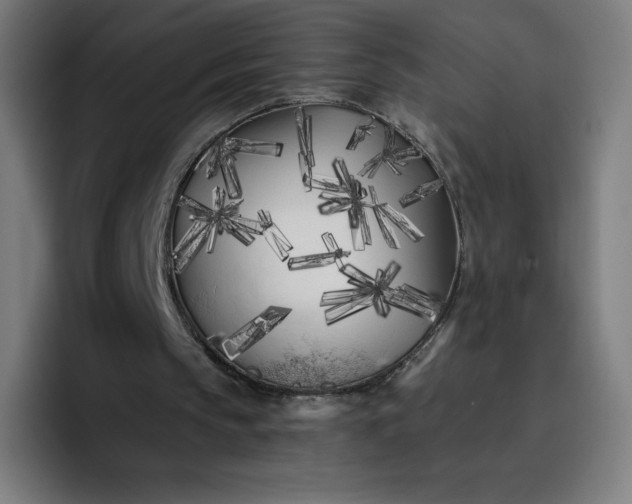 X0000096720145200802191535