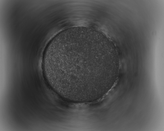 X0000096720146200802191535