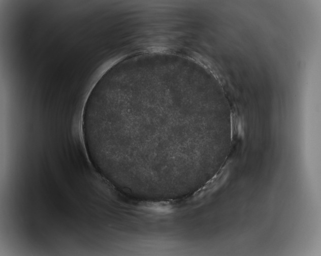 X0000096720147200802191535