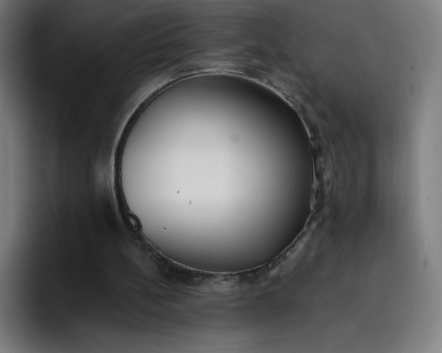 X0000096720148200802191535