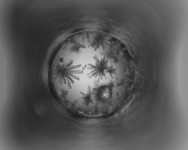 X0000096720149200802191535