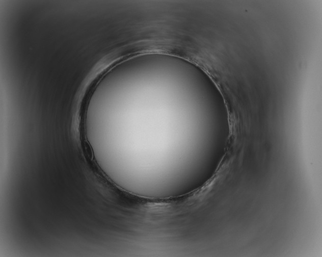 X0000096720150200802191535