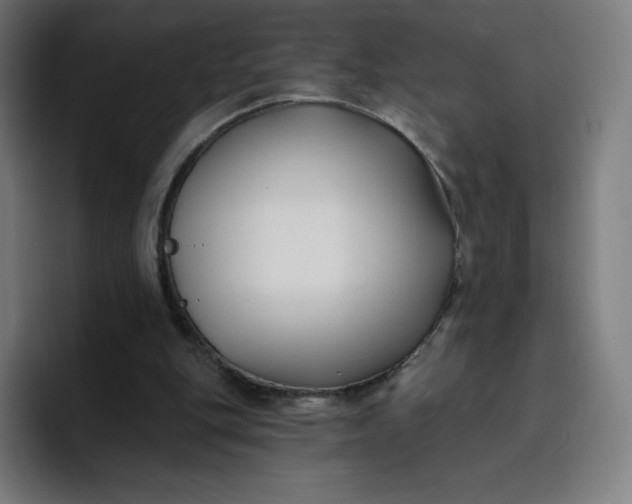 X0000096720151200802191535