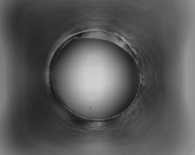 X0000096720152200802191535