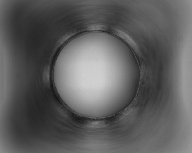 X0000096720155200802191535