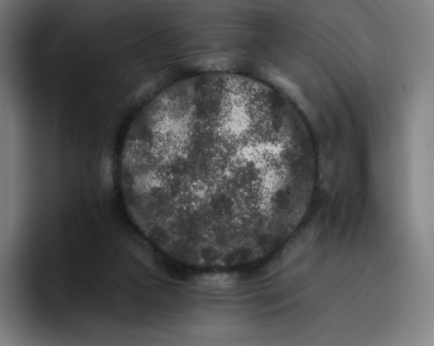 X0000096720161200802191535