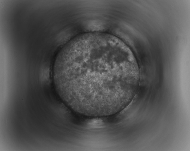 X0000096720162200802191535