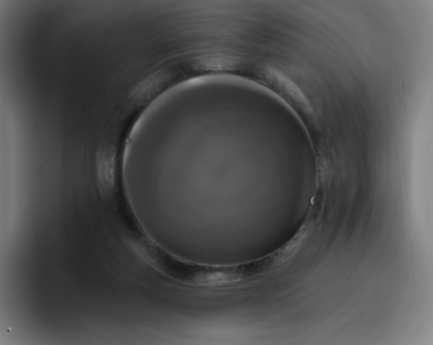 X0000096720163200802191535