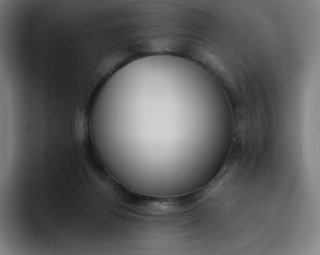 X0000096720164200802191535