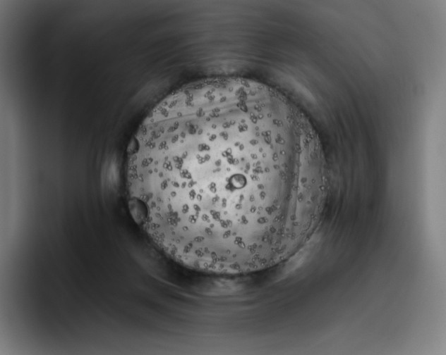 X0000096720166200802191535