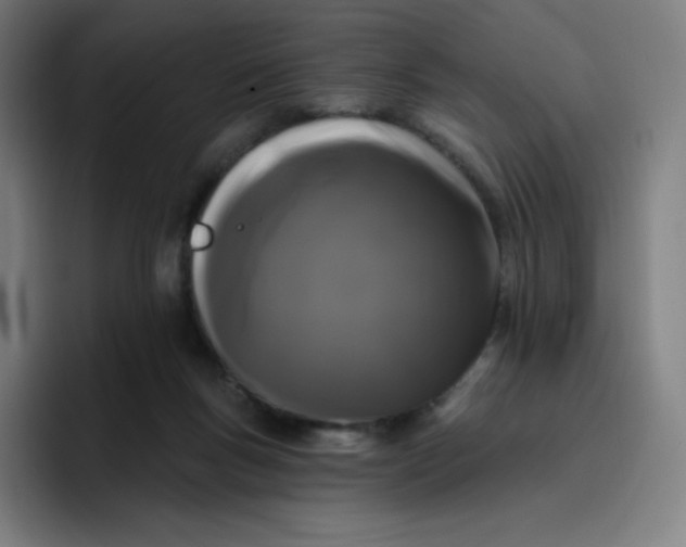 X0000096720167200802191535