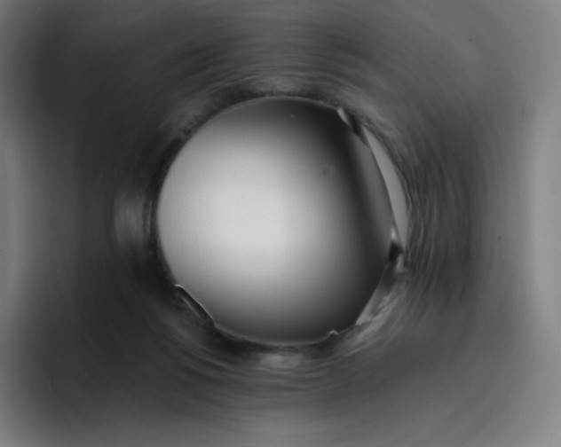 X0000096720168200802191535