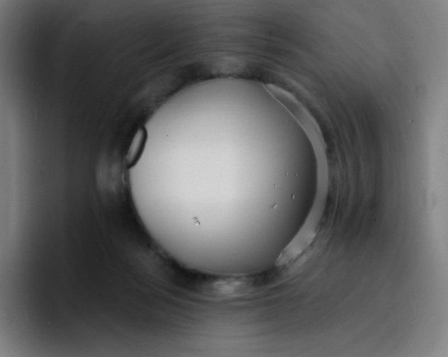 X0000096720172200802191535