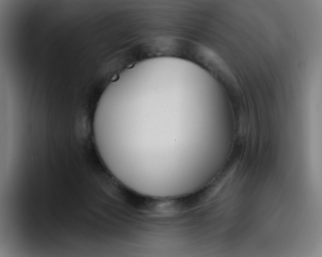 X0000096720173200802191535