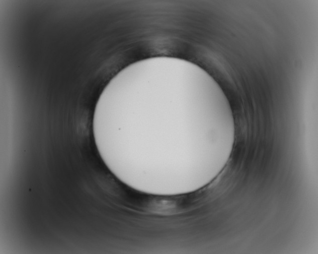 X0000096720174200802191535