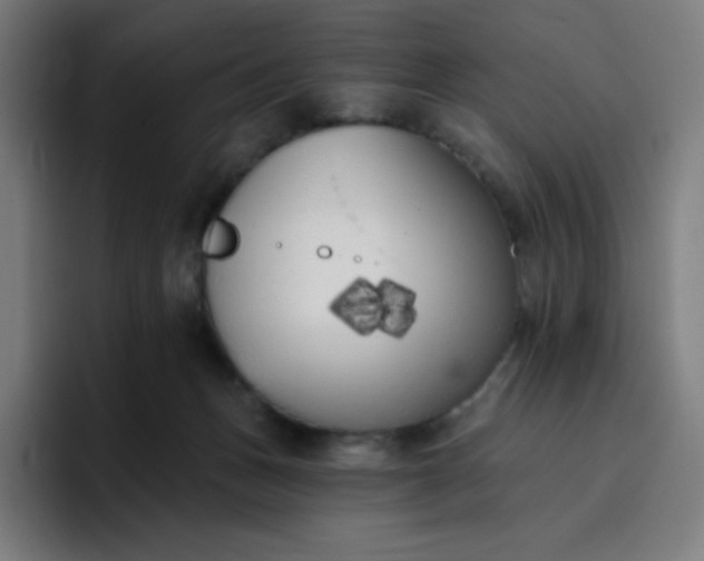 X0000096720175200802191535