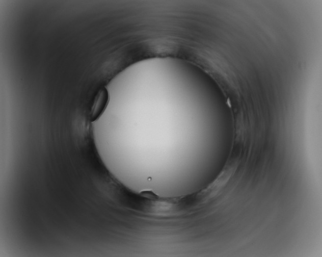 X0000096720176200802191535