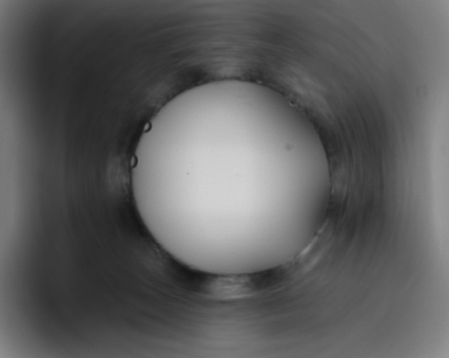 X0000096720179200802191535