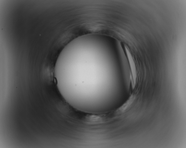 X0000096720180200802191535