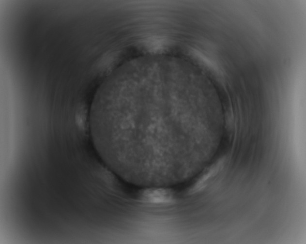 X0000096720181200802191535