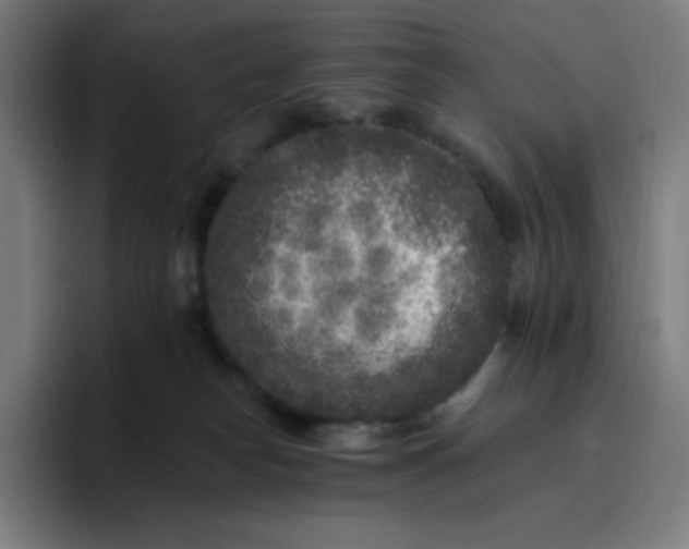 X0000096720182200802191535