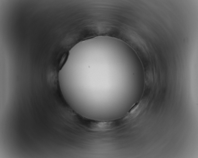 X0000096720184200802191536