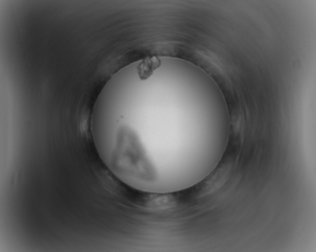 X0000096720185200802191536