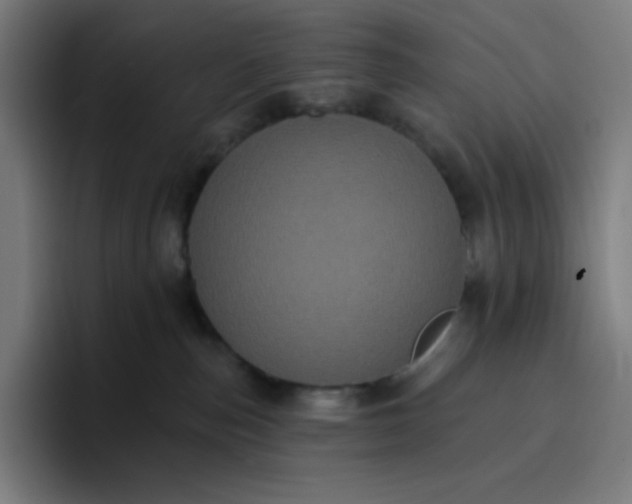 X0000096720187200802191536