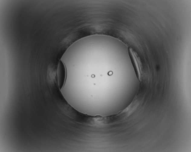 X0000096720188200802191536