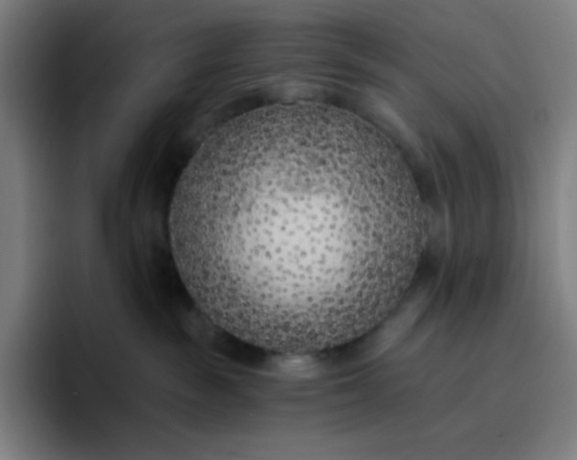 X0000096720189200802191536